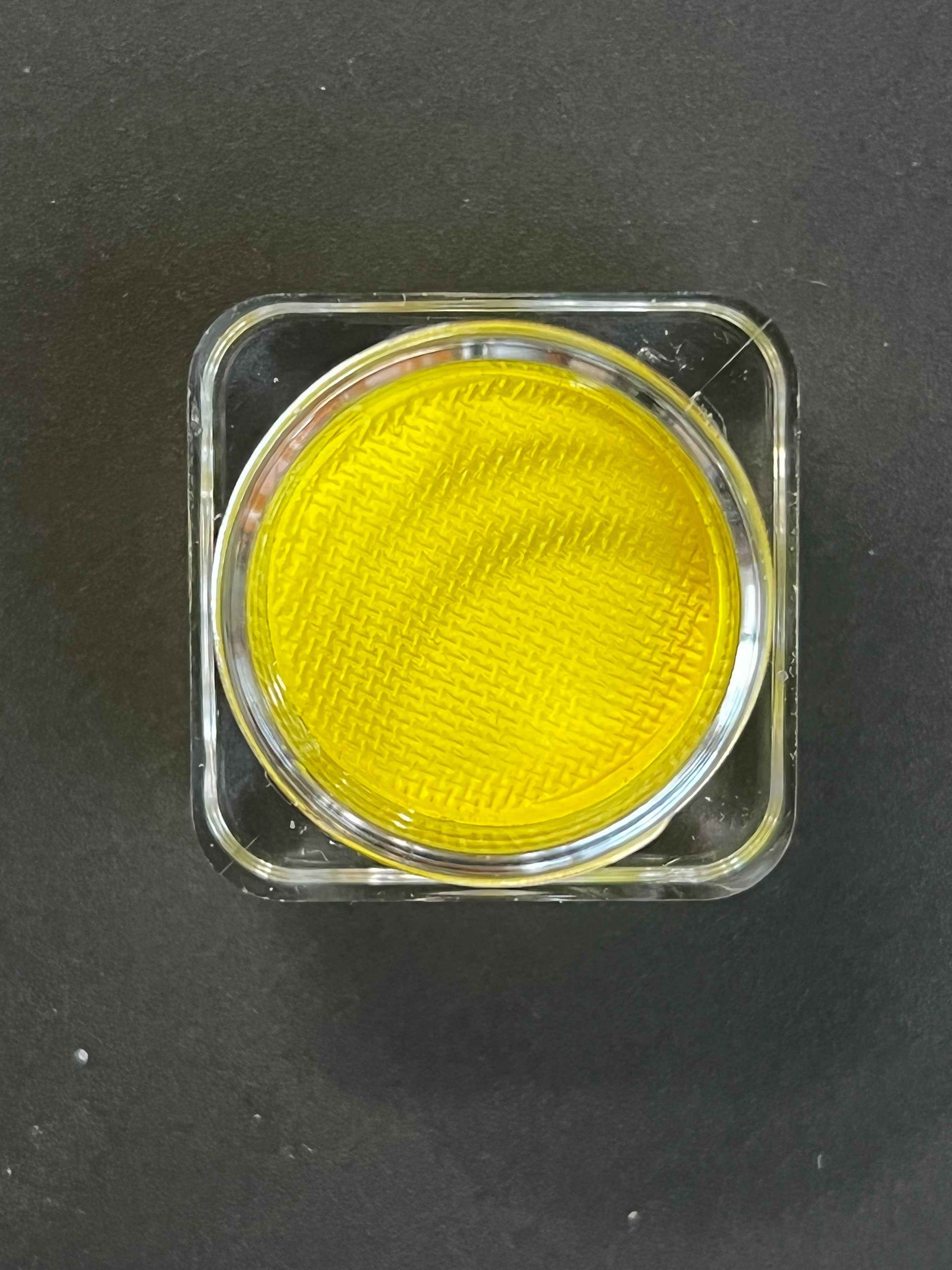 13 - Aureolin (Shiny Yellow) Water Activated Graphic Liner