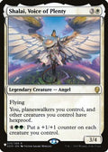 Shalai, Voice of Plenty (LIST-035/269) - The List Reprints