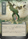 Shared Roots (JP Alternate Art) (Silver Scroll Foil) (SOA-188) - Secrets of Strixhaven: Mystical Archive Foil