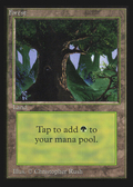 Forest (IED-282) - Intl. Collectors' Edition