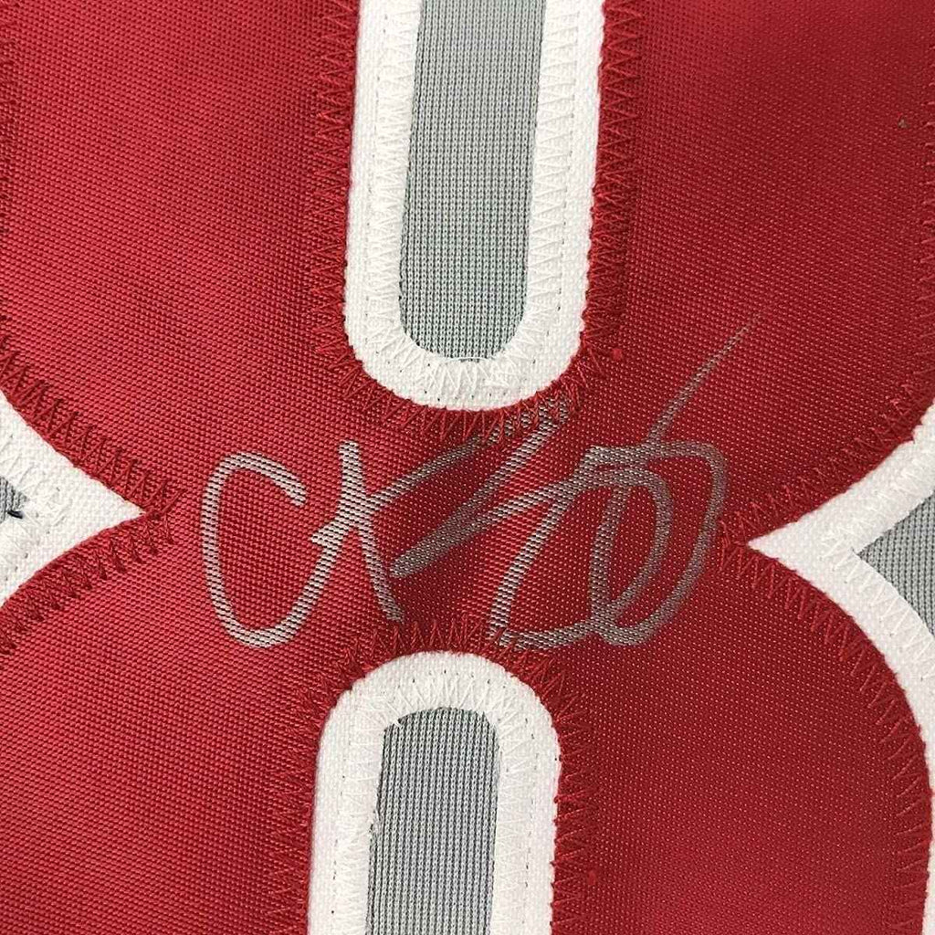 Framed Autographed/Signed Curt Schilling 35x39 Philadelphia Grey Baseball Jersey JSA COA