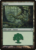 Forest (CHK-306) - Champions of Kamigawa Foil