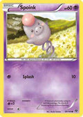 Spoink 049/146 - XY Base Set