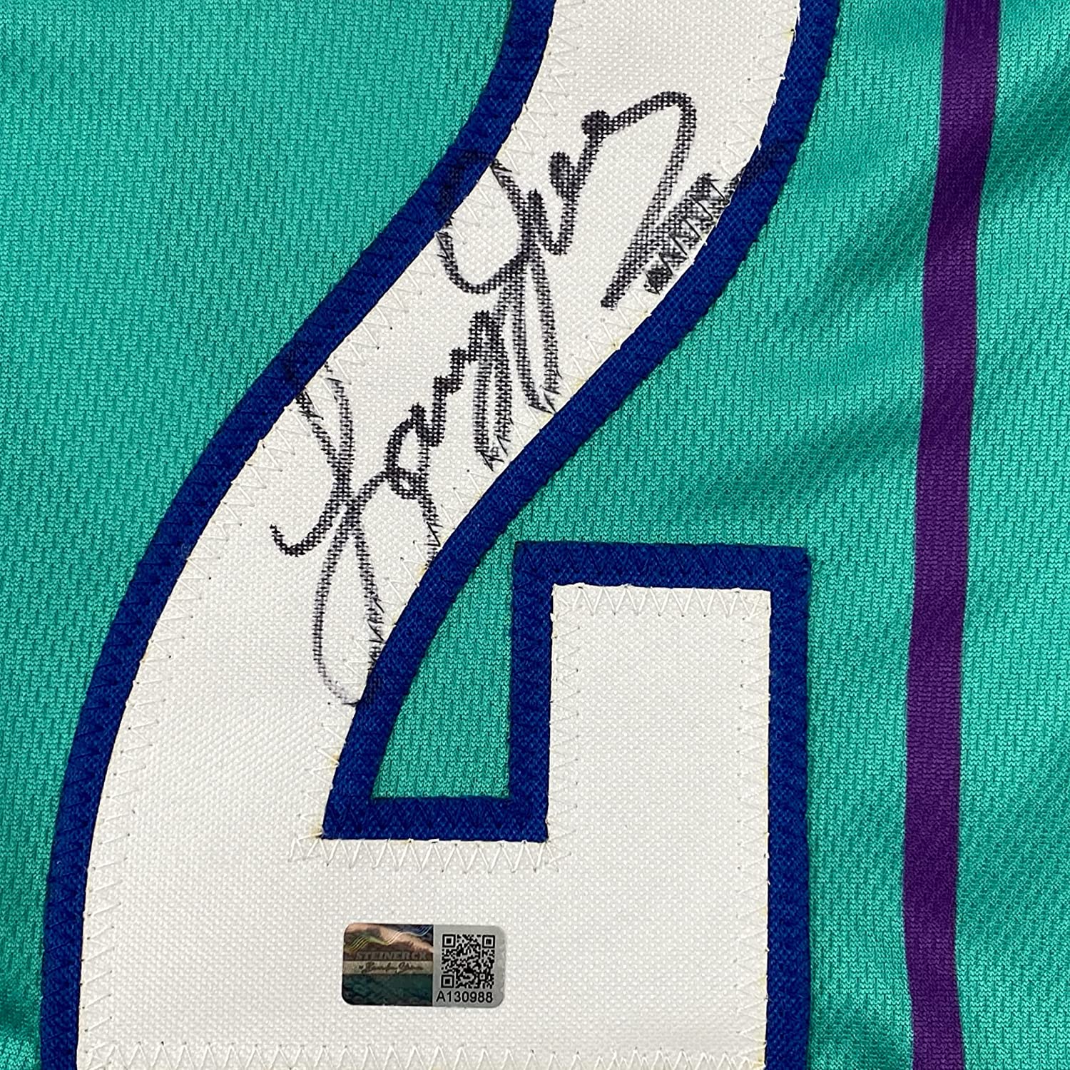 Framed Autographed/Signed Larry Johnson 35x39 Charlotte Teal Basketball Jersey Steiner COA