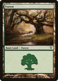 Forest (AVR-244) - Avacyn Restored Foil