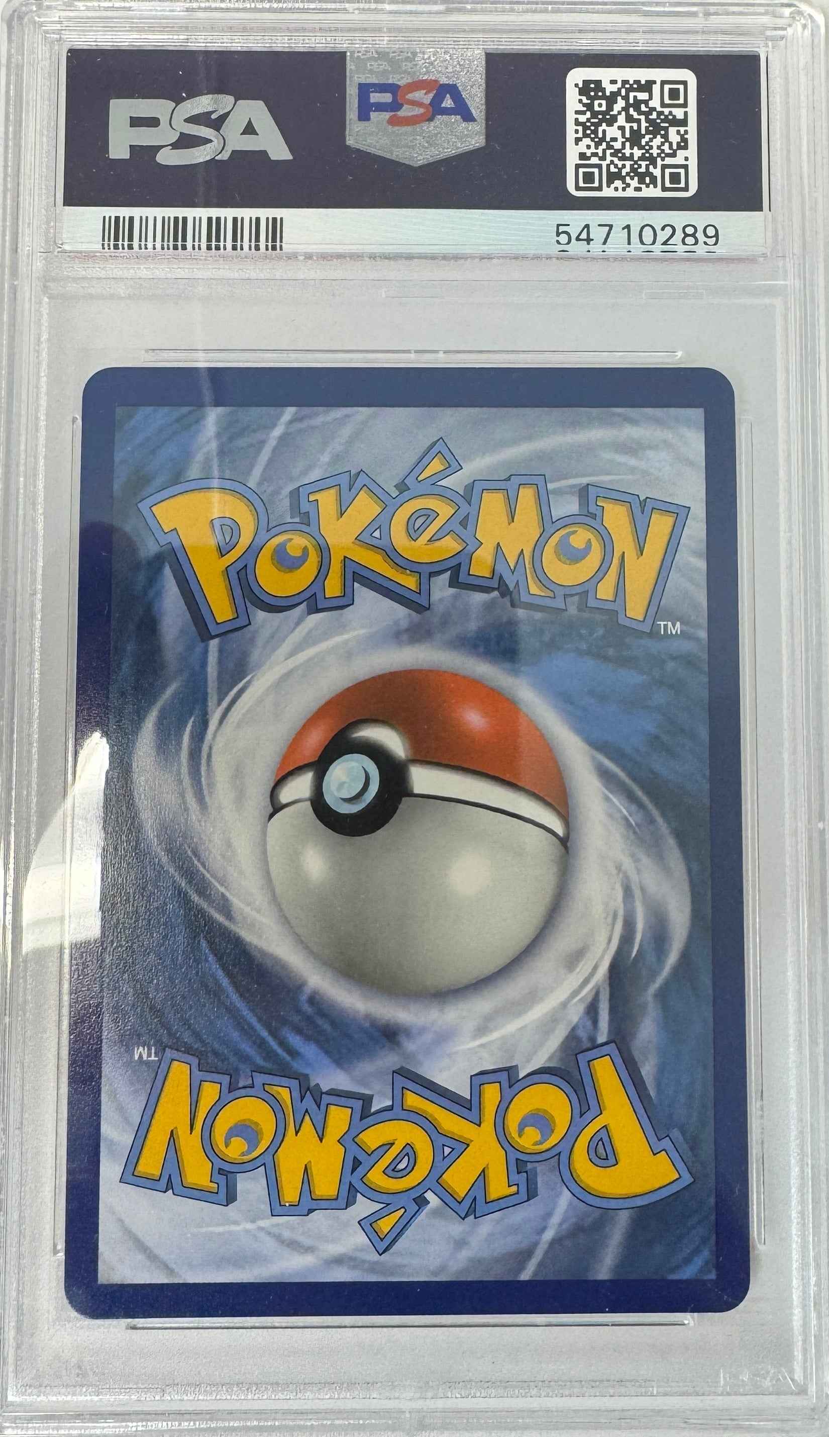 Graded 2019 PKM Sun & Moon Hidden Fates #SV6 Charmander-Holo Hidden Fates Trading Card Game PSA 10 Gem Mint