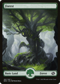 Forest (BRO-287) - The Brothers' War
